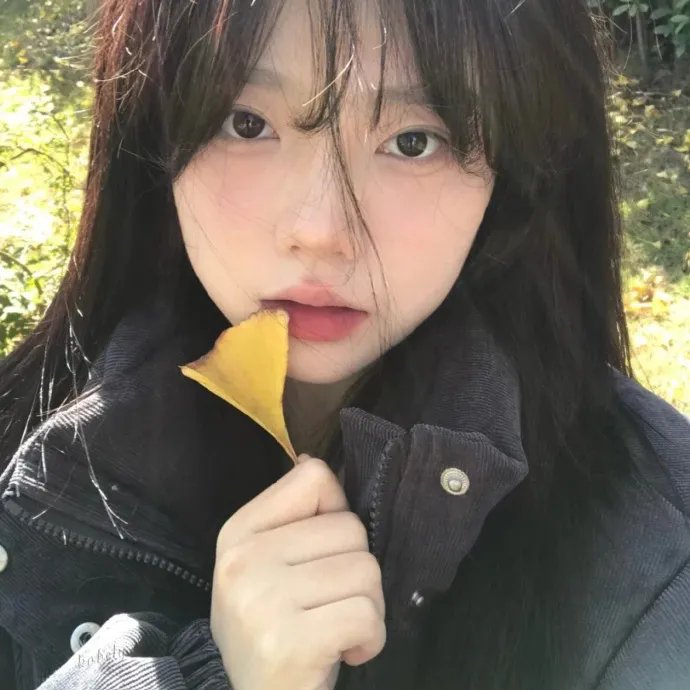 腌黄瓜先生第二季